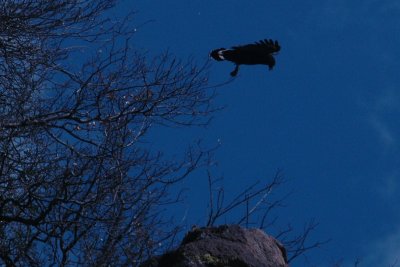 611DavisMountains 018.JPG