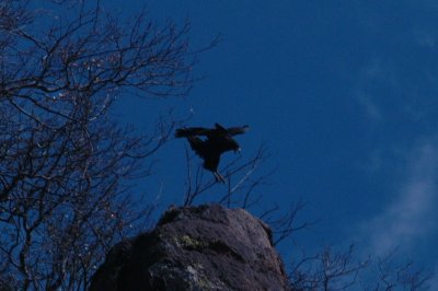 611DavisMountains 019.JPG
