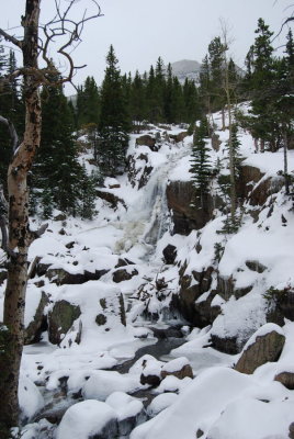 Alberta Falls