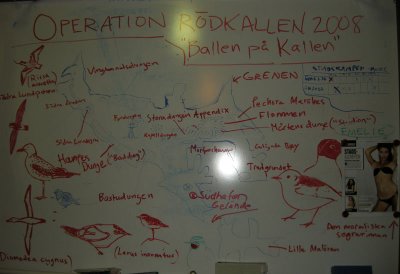 Operation Rdkallen 2008