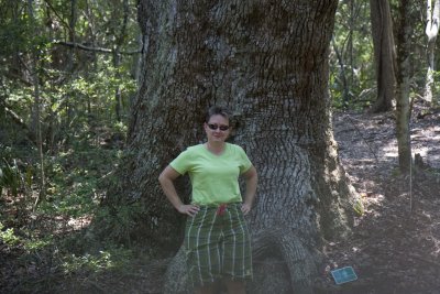 Live Oak6.jpg