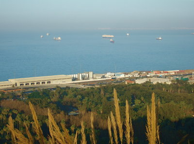 Vue du port d'Alger