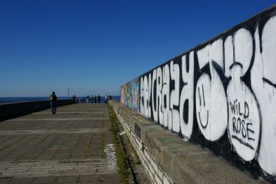 f002.jpg