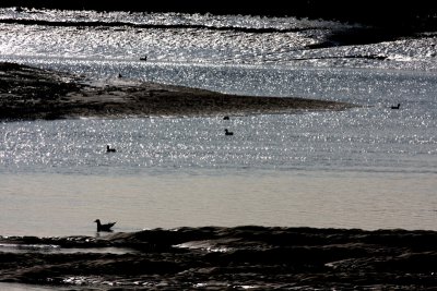 Thornham Channel