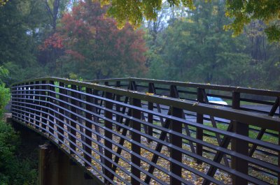 Fall-Rain Bridge