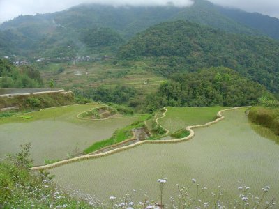 128.jpg