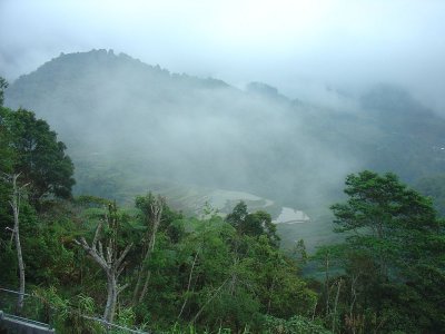 163.jpg