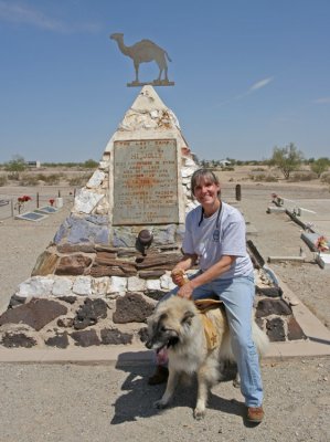 Rascal does not make a good camel! Tomb of Hi Jolly Quartzite Arizona