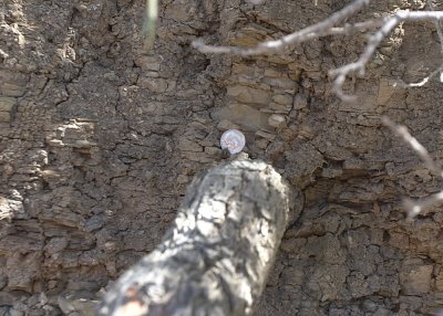 Yet another ubiquitious dime & Iridium layer photo.