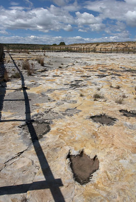 It's about a foot. Dinosaur tracks at Clayton Lake State Park NM