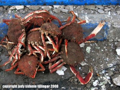 orgy of crabs