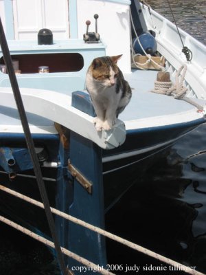 9.18.06 grikos harbor cat