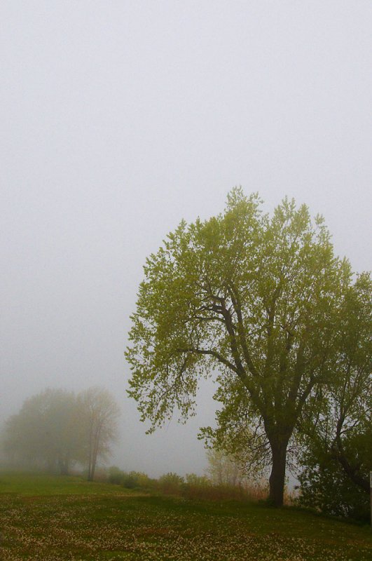 _SMV3798.jpg