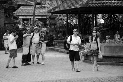 IMG_6173.jpg