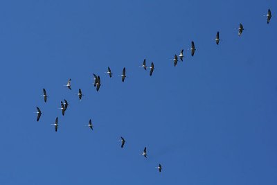 Retour vers le soleil