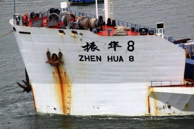 Zhen Hua 8