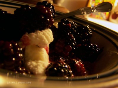 July 22 ~ Wild Blackberries!