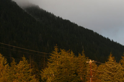 Life in Sitka