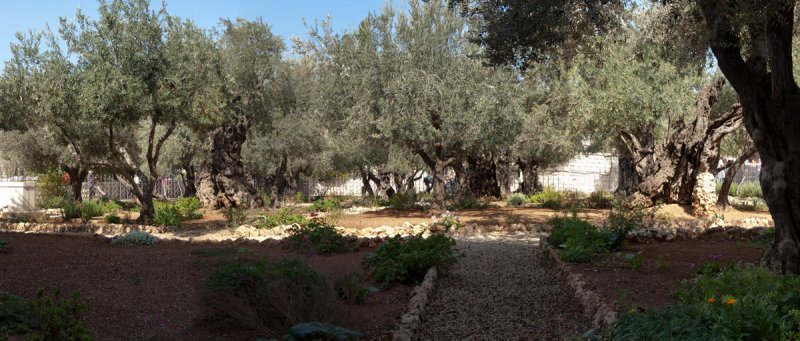 Gethsemani_Panorama1.jpg