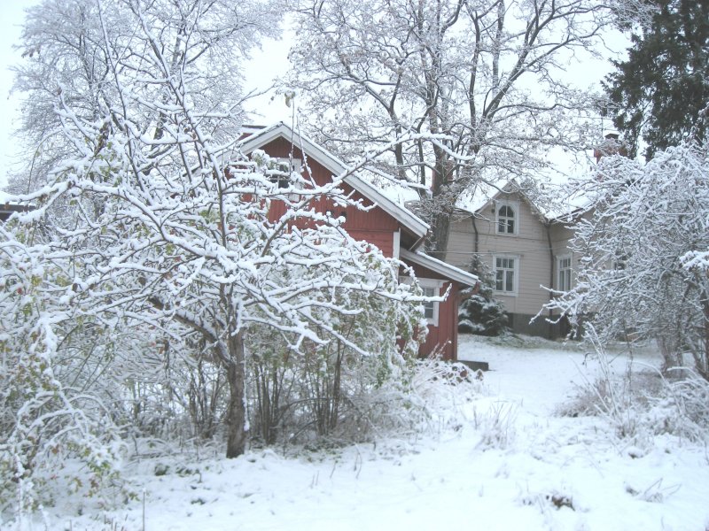Wish That Was My Yard..:)
