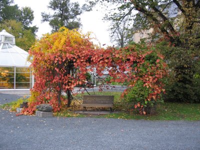 The Botanical Garden of the University of  Helsinki