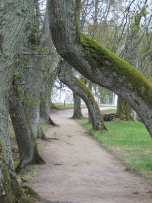 Park of an Estonian manor