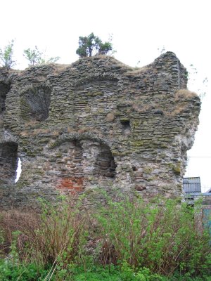 The ruins of Vasknarva Castle