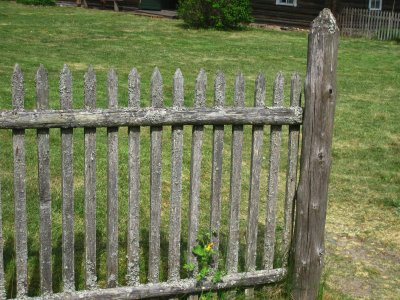 An Old Fence