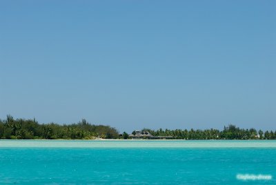 _DSC4040.jpg
