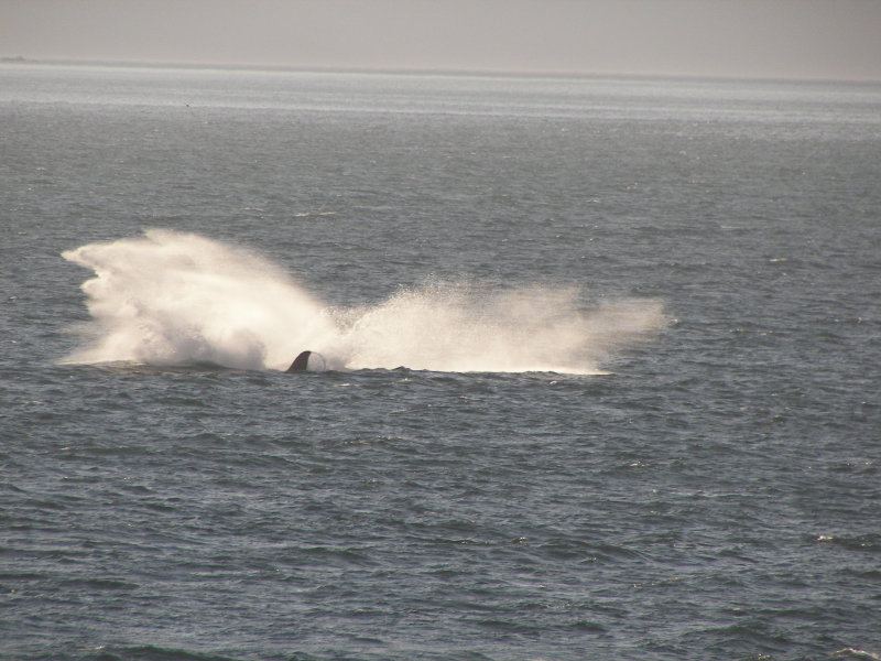 100_5543.JPG