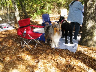 Little Bit Farm Encampment