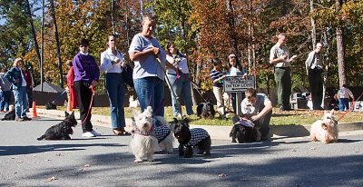 Scottie Parade