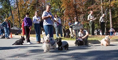 Scottie Parade