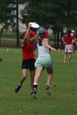 IMG_0237_crop.JPG