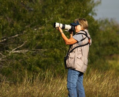 A Photo and Birding Expert at work
