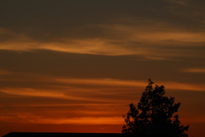 Sunset 11/14/2009