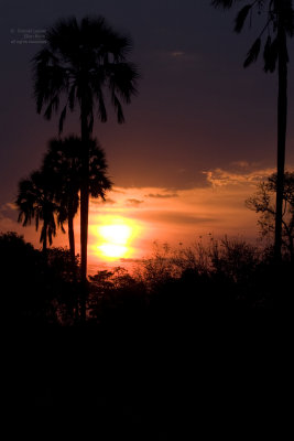 Zambian Sunset.