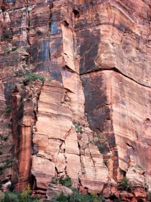 11072009 Zion Weekend778.jpg