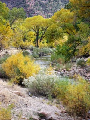 11072009 Zion Weekend789.jpg