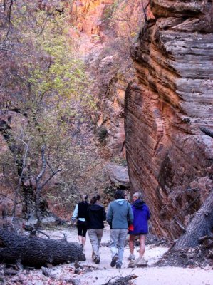 11082009 Zion Weekend822.jpg
