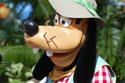 Goofy