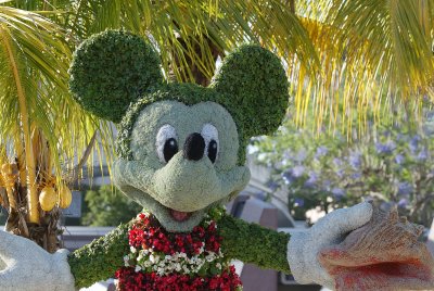 Mickey