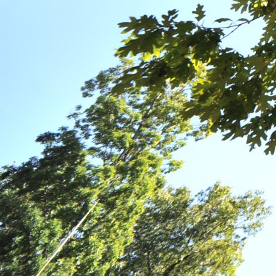 12-24mm at 12mm corner.jpg