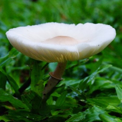 reDSCF5350.jpg
