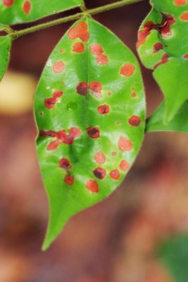 reDSCF5363.jpg