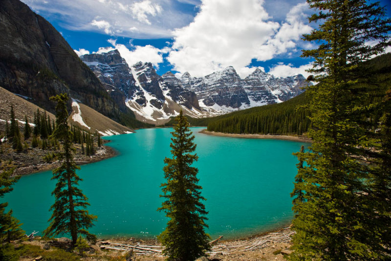 EOS-1Ds Mark III_080615_4274.jpg
