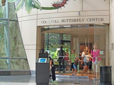 The Cockrell Butterfly Center
