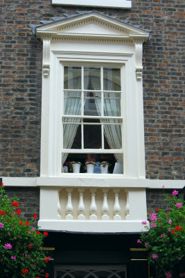 Shambles window