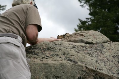  Aug62008_3991.jpg