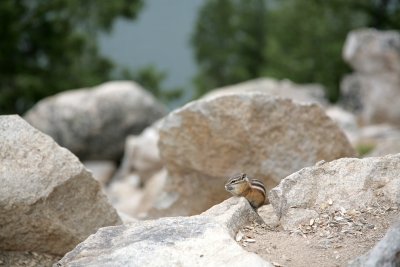  Aug62008_3998.jpg